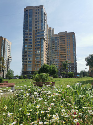 Объект по адресу Санкт-Петербург г, Верности ул, д. 17