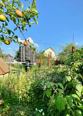 Объект по адресу Москва, СНТ Анис тер, 12 