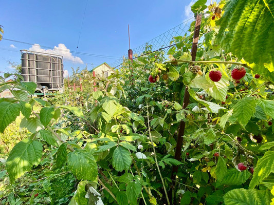 Объект по адресу Москва, СНТ Анис тер, 12 