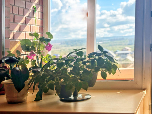 Объект по адресу Москва, Некрасова ул, 22 