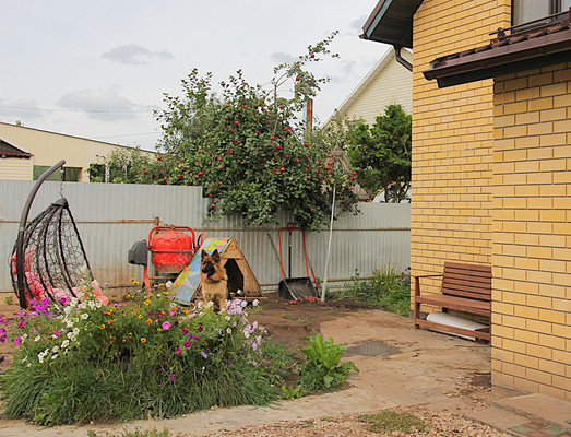 Объект по адресу Москва, Кирпичная ул, 12 