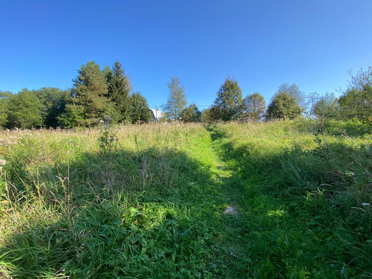 Объект по адресу Москва, Блознево д 