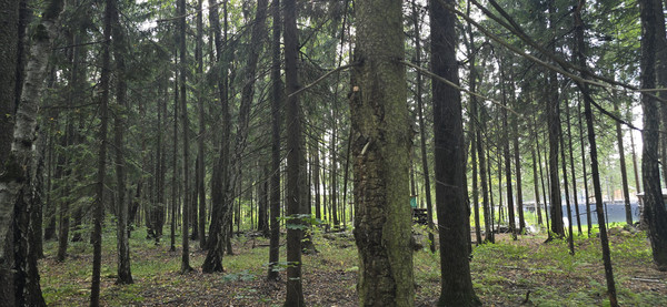 Объект по адресу Москва, СНТ Вузсервис тер 