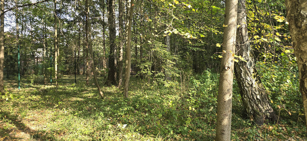 Объект по адресу Москва, СНТ Вузсервис тер 