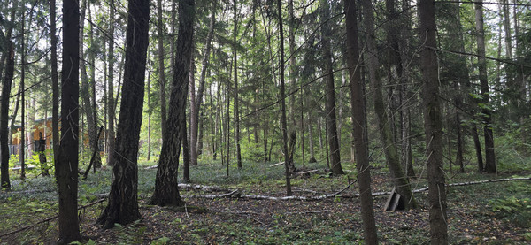Объект по адресу Москва, СНТ Вузсервис тер 