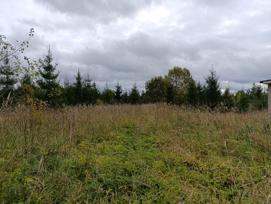 Объект по адресу Москва, Деревенская ул 