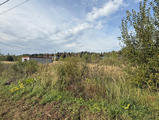 Объект по адресу Москва, Новинское д 