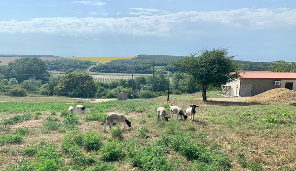 Объект по адресу Москва, Баранцовское с 