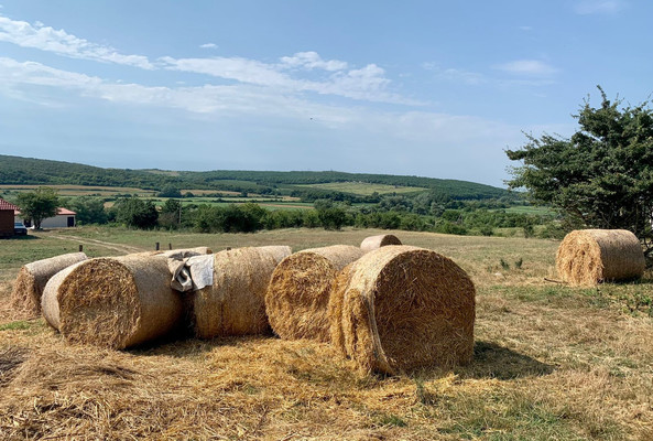 Объект по адресу Москва, Баранцовское с 