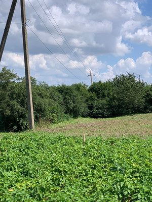 Объект по адресу Москва, Баранцовское с 