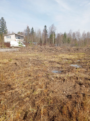 Объект по адресу Москва, Лесная ул 