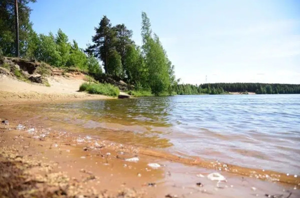Объект по адресу Москва, Лесная ул 