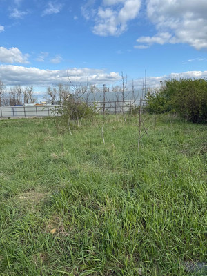 Объект по адресу Москва, Радуга снт 