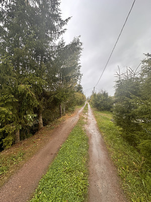 Объект по адресу Москва, СНТ Источник массива Трубников Бор тер 