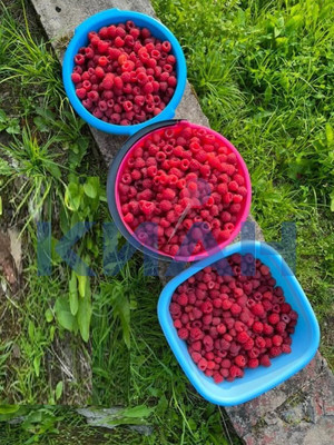 Объект по адресу Москва, Ручейки п 