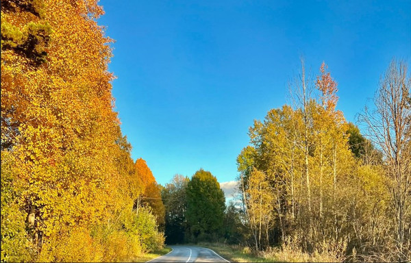 Объект по адресу Москва, Красноармейское п 