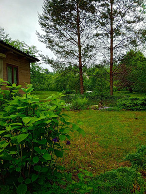 Объект по адресу Москва, Железнодорожник тер. СНТ 