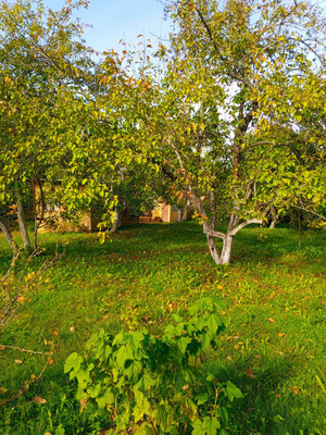 Объект по адресу Москва, Железнодорожник тер. СНТ 