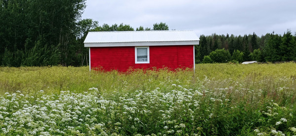 Объект по адресу Москва, Реболово д 