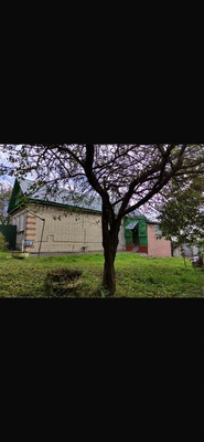 Объект по адресу Москва, Колоколово д, 23 