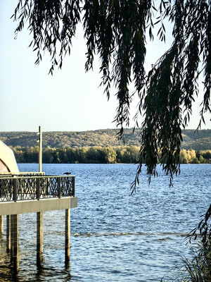 Объект по адресу Москва, Рябинушка тер. СНТ 