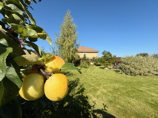 Объект по адресу Москва, Физкультурная ул, 93 