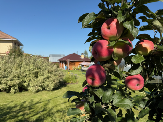 Объект по адресу Москва, Физкультурная ул, 93 