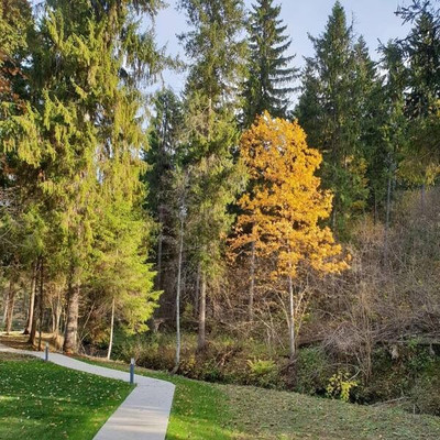 Объект по адресу Москва, Часовня д 