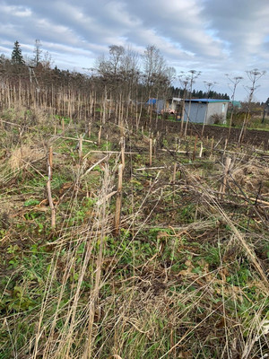 Объект по адресу Москва, Сельцо п 