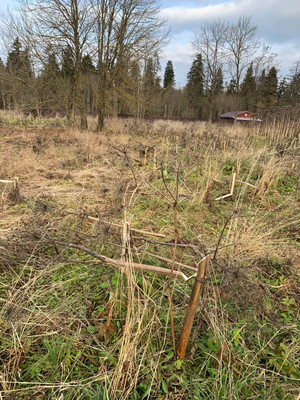 Объект по адресу Москва, Сельцо п 