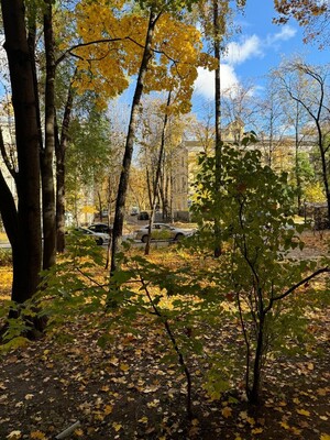 Объект по адресу Москва, 6-я Парковая ул, 27 