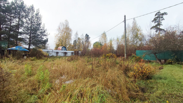 Объект по адресу Московская обл, Пушкинский р-н, Ашукино дп, Пушкинская ул