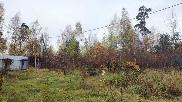 Объект по адресу Московская обл, Пушкинский р-н, Ашукино дп, Пушкинская ул