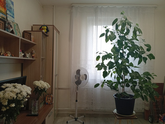 Объект по адресу Санкт-Петербург, Стародеревенская ул, 20к2 