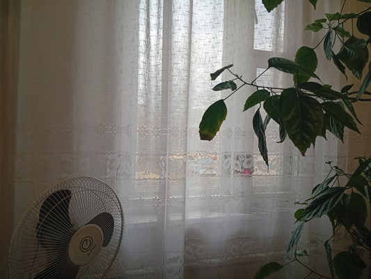 Объект по адресу Санкт-Петербург, Стародеревенская ул, 20к2 