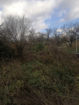 Объект по адресу Москва, Советская ул, 57 