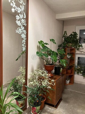 Объект по адресу Москва, Маршала Савицкого ул, 16 