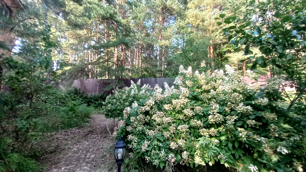 Объект по адресу Москва, Пригородная ул, 19 