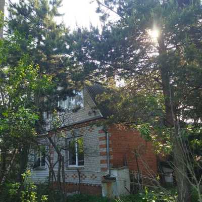 Объект по адресу Москва, Березка тер. СНТ 