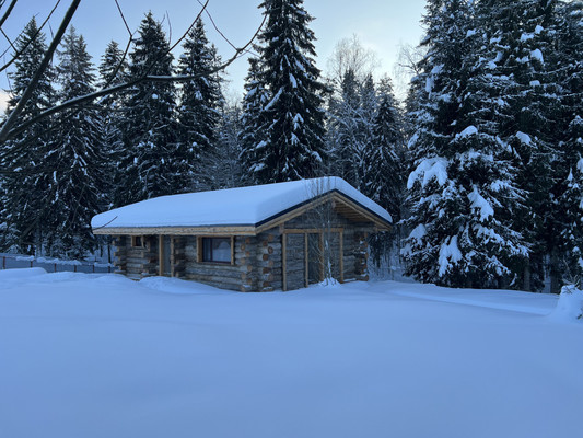 Объект по адресу Московская обл, Клин г, Кореньки д, Кореньки ФР тер. ДПК