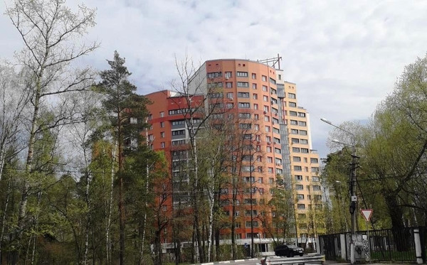 Объект по адресу Московская обл, Раменский р-н, Бритово д, Свободы ул, д. 6А