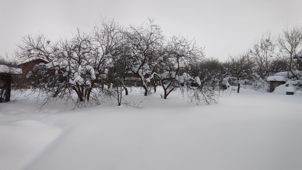 Объект по адресу Москва, Курилово п 