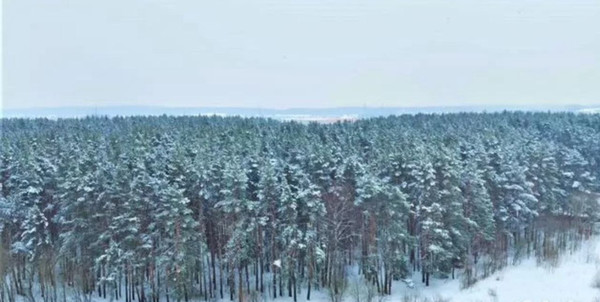 Объект по адресу Московская обл, Сосновый Бор п, Объездная дорога ул, д. 2