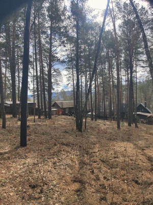 Объект по адресу Красноярский край, Лесная ул, д. 423КЗ