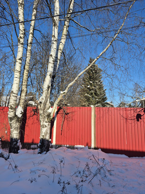 Объект по адресу Москва, Автосервис-Центральный тер. СНТ, 6 