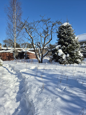 Объект по адресу Москва, Автосервис-Центральный тер. СНТ, 6 