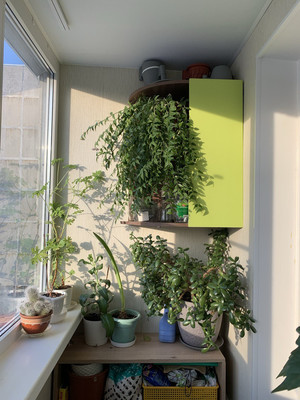 Объект по адресу Москва, Центральная ул, 6к1 