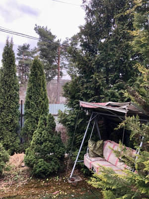 Объект по адресу Москва, 1-я (Оптимист тер. СНТ) линия, 38 