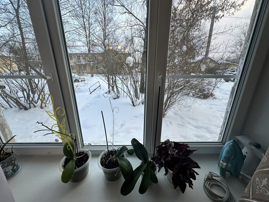 Объект по адресу Москва, Культуры ул, 5 