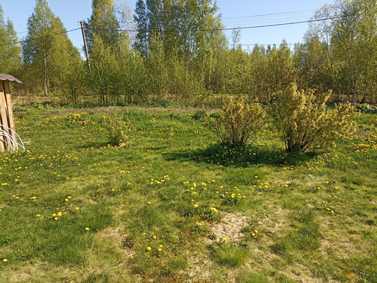 Объект по адресу Москва, Уют тер. СНТ 